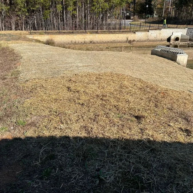 Stabilized area after the stormwater repair