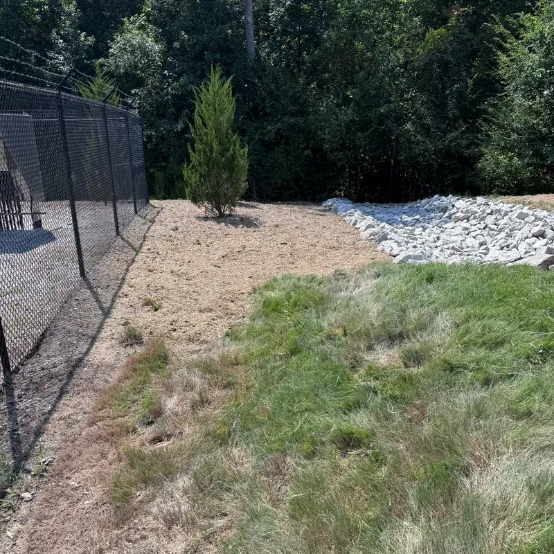 Established vegetation alongside a stabilized rip-rap dissipator