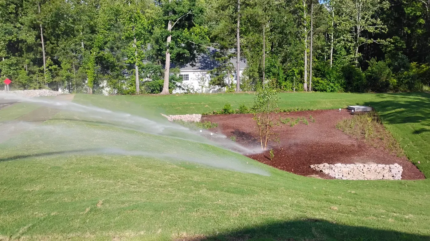 Completed bioretention basin with sod and landscaping after Delcid's work