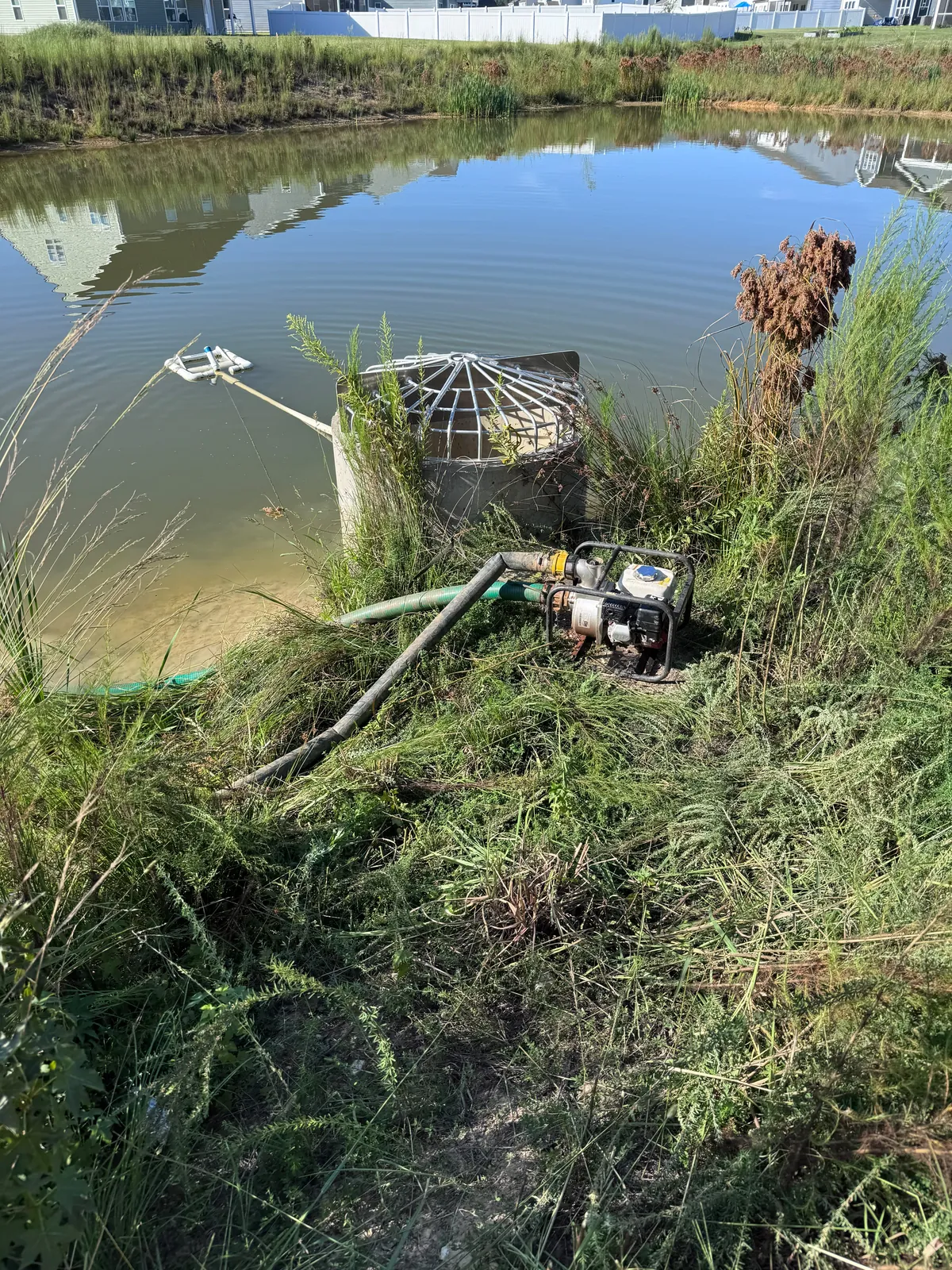 Pond before conversion work at Nathans Ridge Pond