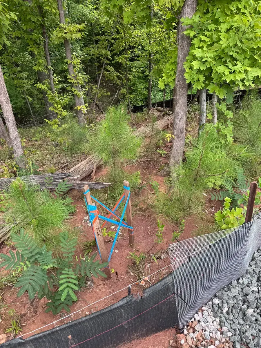 Sediment built up along a silt fence in a wooded buffer before cleanup